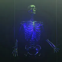 Beamglow — Did I Stutter? (Reversed Sped Up) — обложка